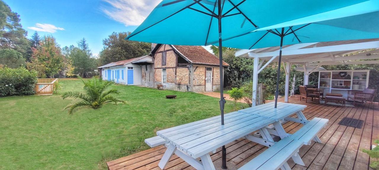 Charmante Maison Dans Les Landes X 10 Avec Piscine Et Salle D Escalade Lue Luaran gambar
