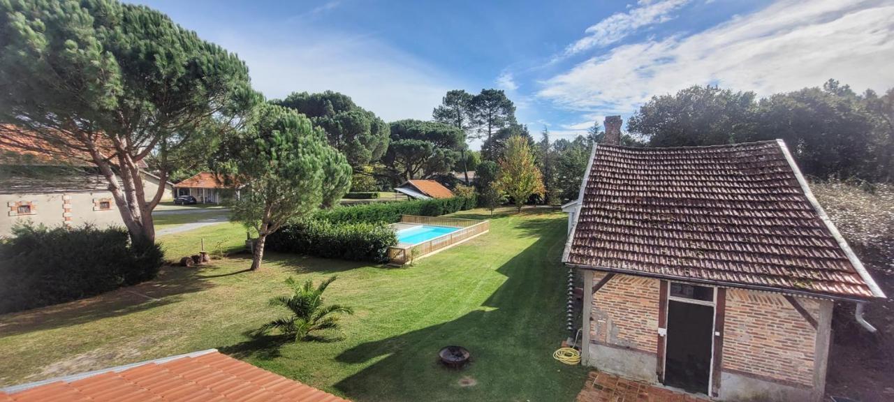 Charmante Maison Dans Les Landes X 10 Avec Piscine Et Salle D Escalade Lue Luaran gambar