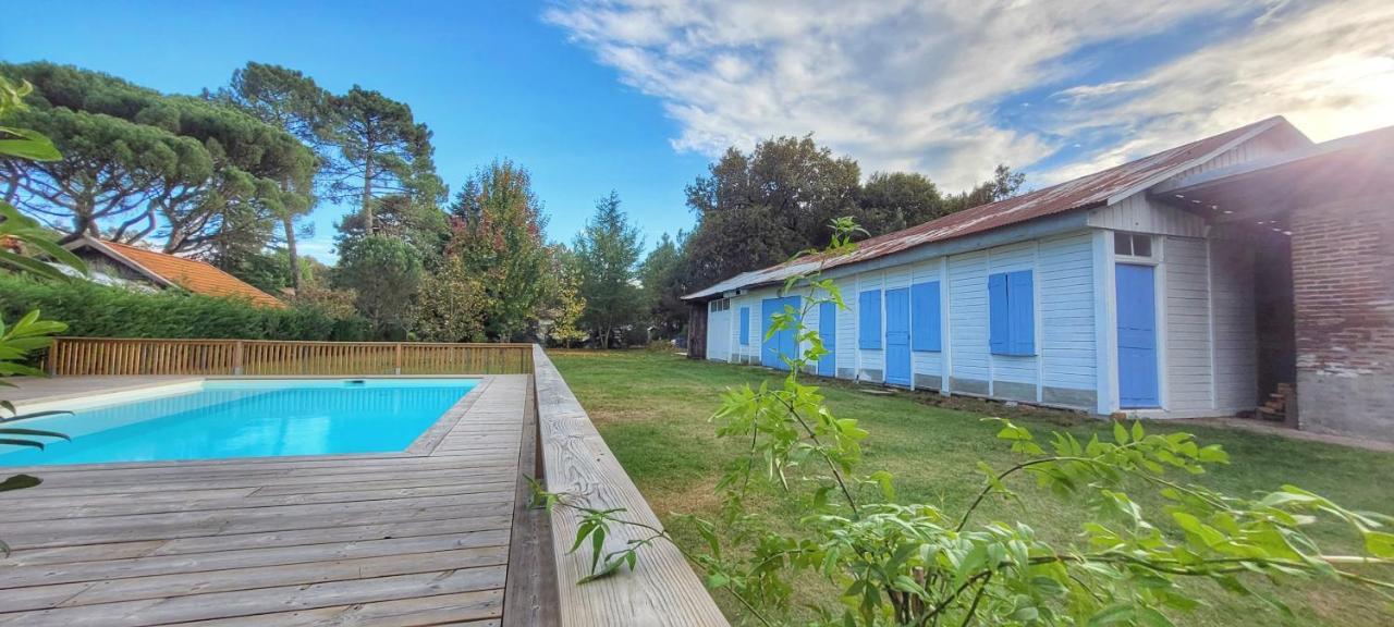 Charmante Maison Dans Les Landes X 10 Avec Piscine Et Salle D Escalade Lue Luaran gambar